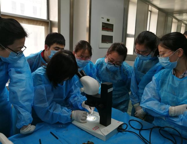 2016年全国食品寄生虫检测技术培训班在郑州举办