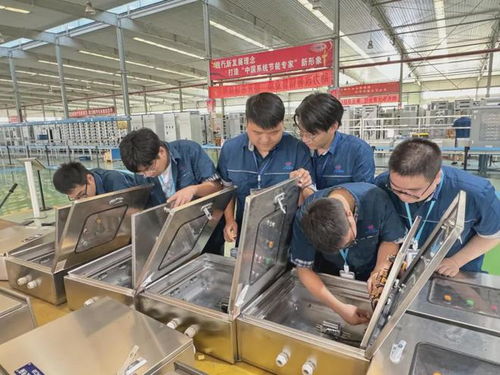 培养校招人才 夯实技术队伍 万洲电气开展校招人才集训活动